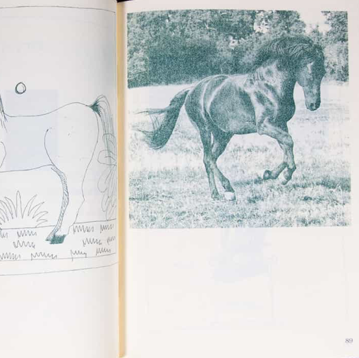 Gelado - Pedro Calhau