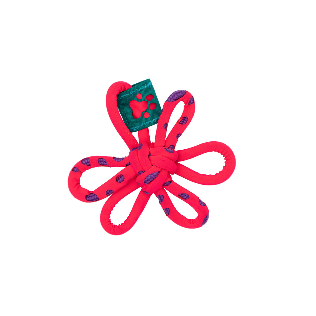 Flower Fetch Toy